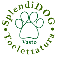 logo splendidog finale verde